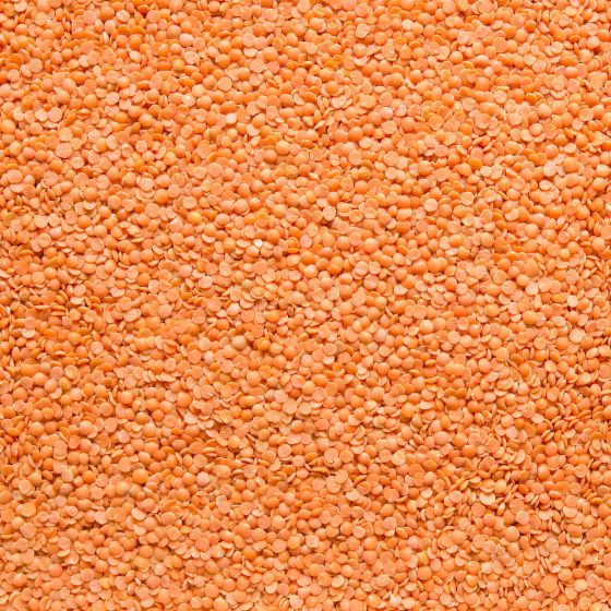 Red split lentils organic peeled 5 kg   COUNTRY LIFE