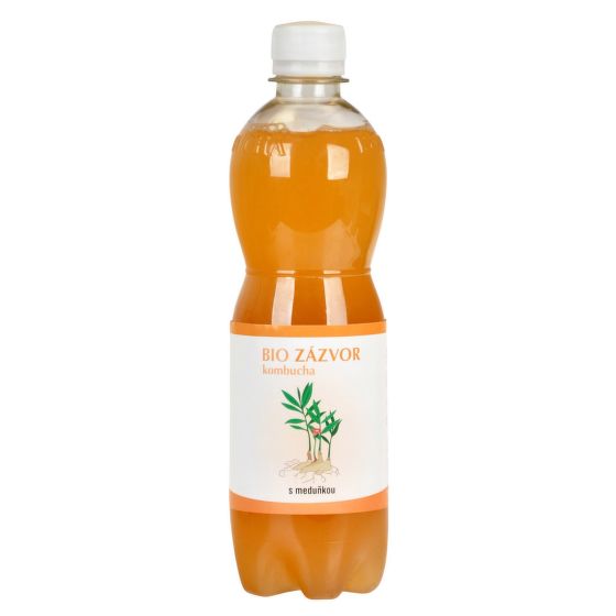Kombucha ginger with melissa organic 500 ml   STEVIKOM