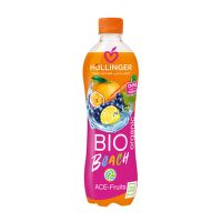 Lemonade from mixed fruit 500 ml BIO HOLLINGER