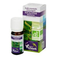Essential oil Eucalyptus radiata organic 10 ml   DOCTEUR VALNET
