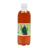 Kombucha melissa organic 500 ml   STEVIKOM