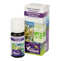 Essential oil Eucalyptus globulus organic 10 ml   DOCTEUR VALNET