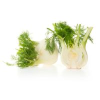 Fennel "Tuber" BIO (pieces)