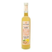 Organic ginger syrup 500 ml HOLLINGER