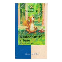 Inhale tea in the forest 21.6 g BIO SONNENTOR