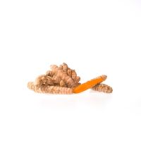 Curcuma BIO